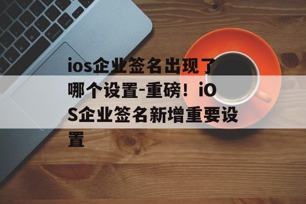 ios企业签名出现了哪个设置-重磅！iOS企业签名新增重要设置 