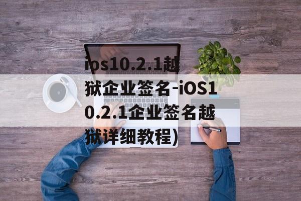 ios10.2.1越狱企业签名-iOS10.2.1企业签名越狱详细教程)