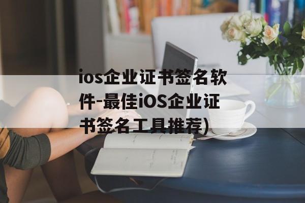 ios企业证书签名软件-最佳iOS企业证书签名工具推荐)