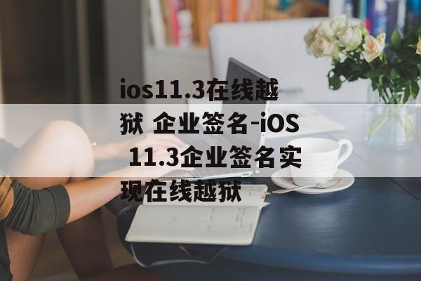 ios11.3在线越狱 企业签名-iOS 11.3企业签名实现在线越狱 