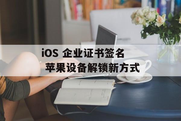 iOS 企业证书签名 苹果设备解锁新方式
